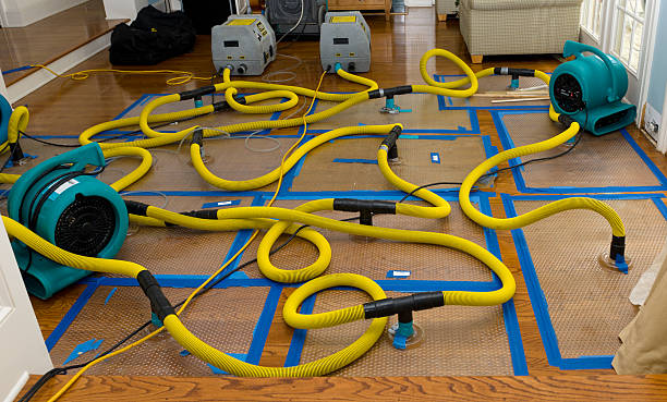Professional Storm Water Damage Restoration technician working in Meadowlands, MN